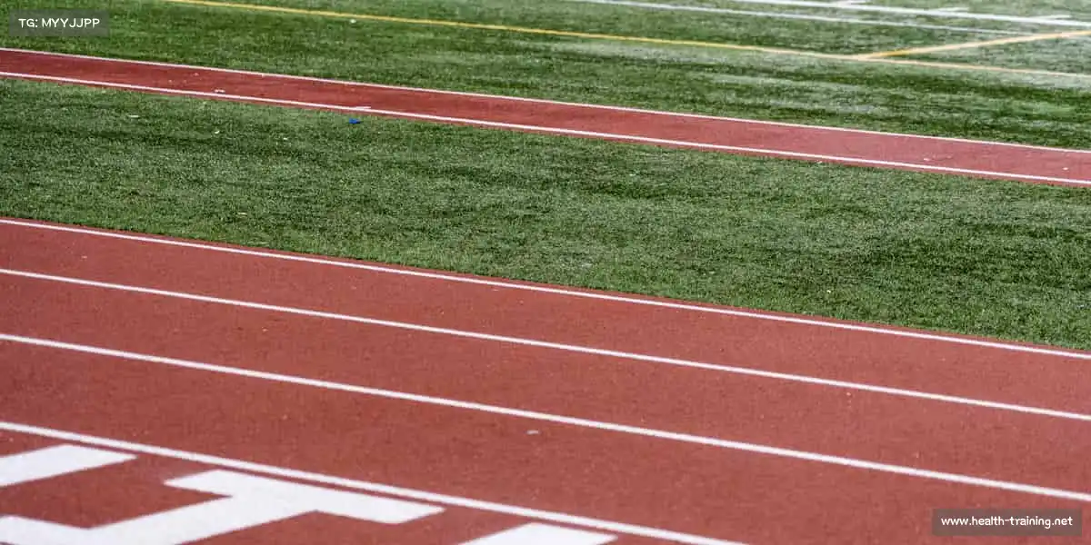 行业领先的理由